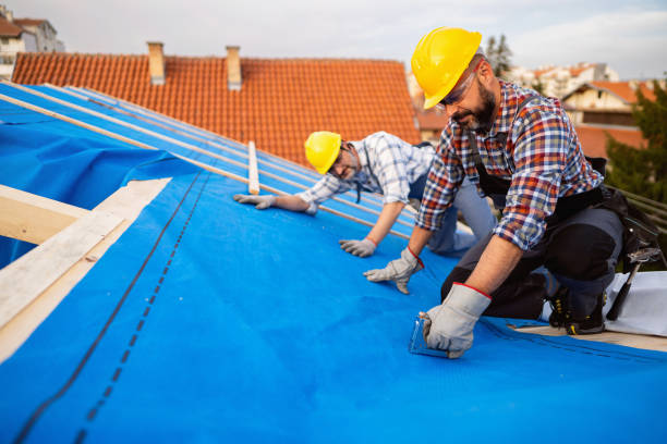 Best Roof Maintenance Services  in Massanetta Springs, VA