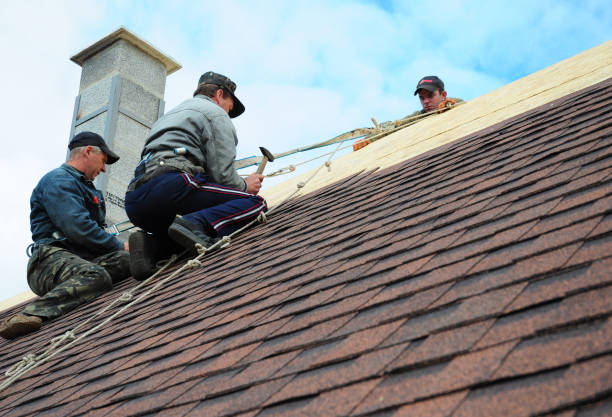 Best Storm Damage Roof Repair  in Massanetta Springs, VA